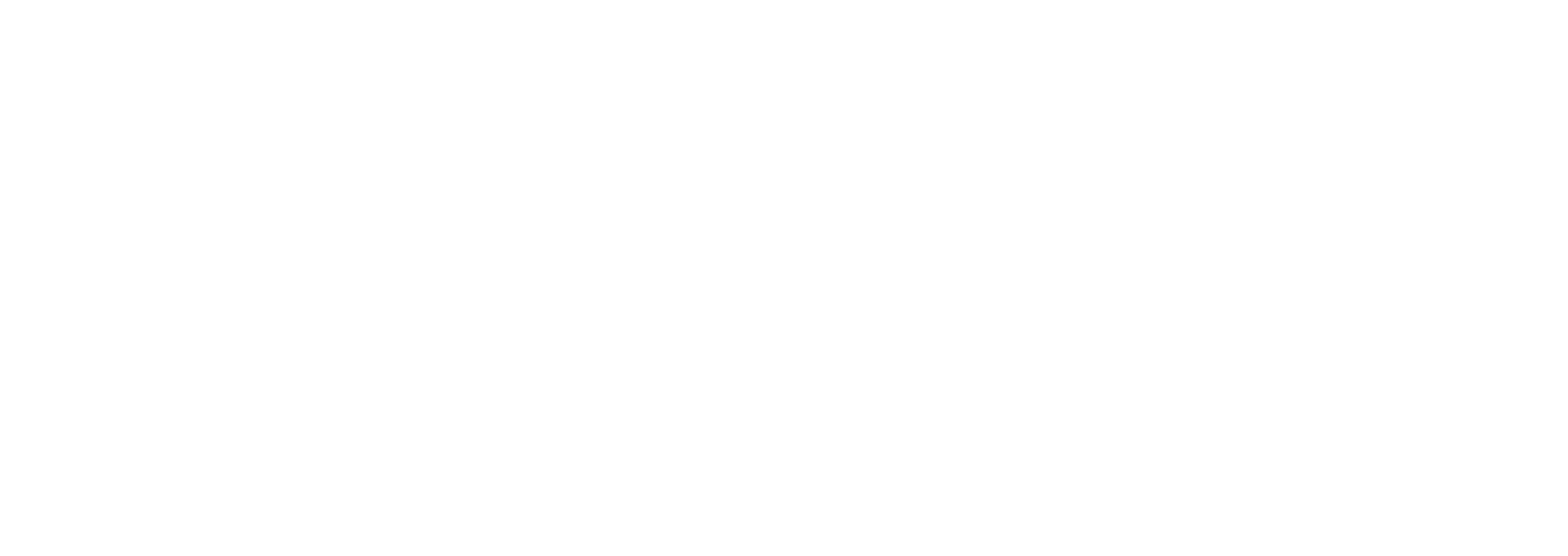 Logo Usemi Vizuri Consulting